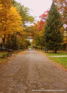 Autumn is: quiet country roads