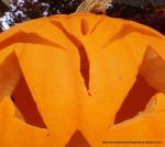 Autumn is: the Jack 'O Lantern and the joy of Halloween
